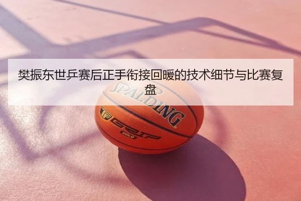 樊振东世乒赛后正手衔接回暖的技术细节与比赛复盘